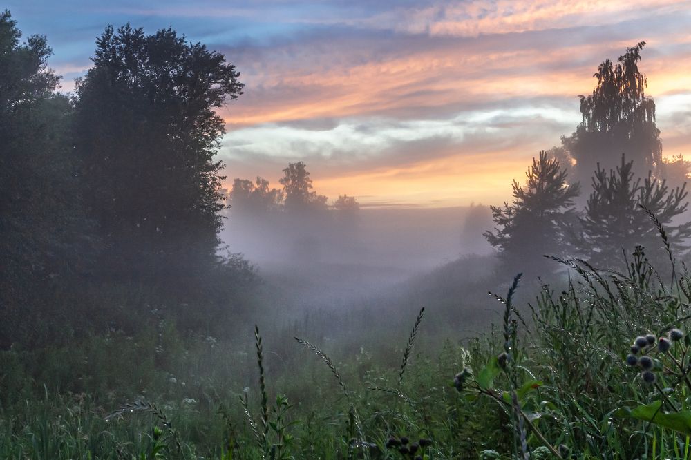 СЫРОЙ ТУМАН