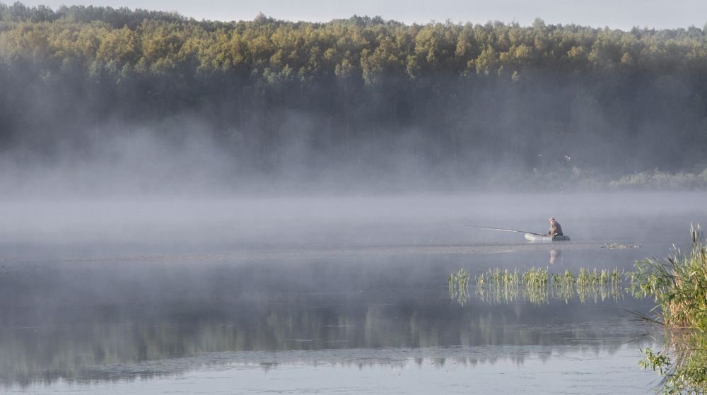 РЫБАЛКА В ТУМАНЕ