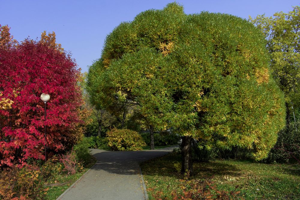 Фотография автора Катрин Евстратова