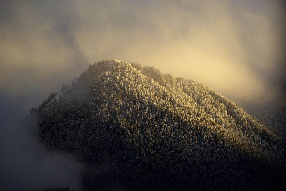 Первый снег ...