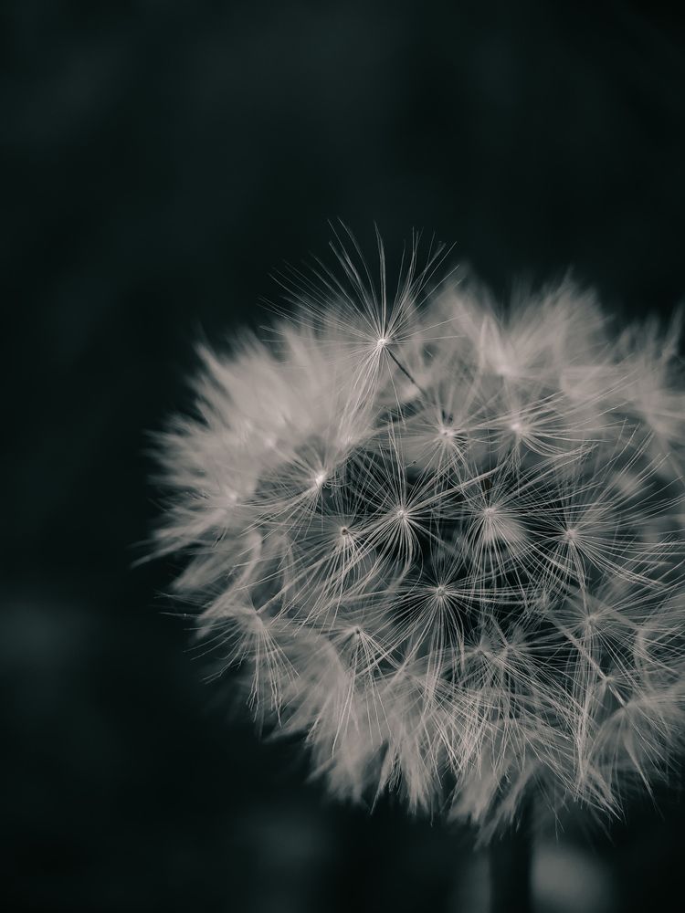 Photograph by Ирина Львова