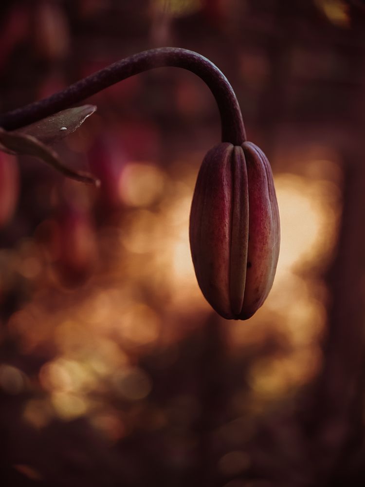 Photograph by Ирина Львова