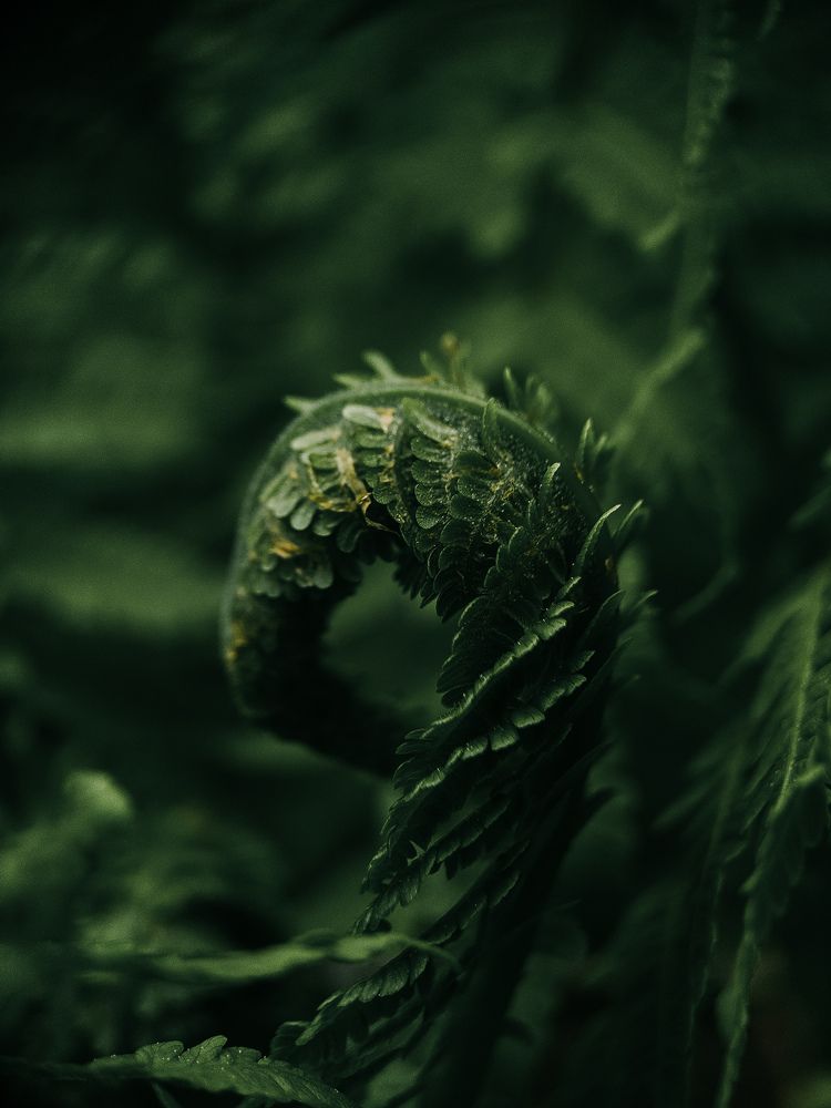 Photograph by Ирина Львова