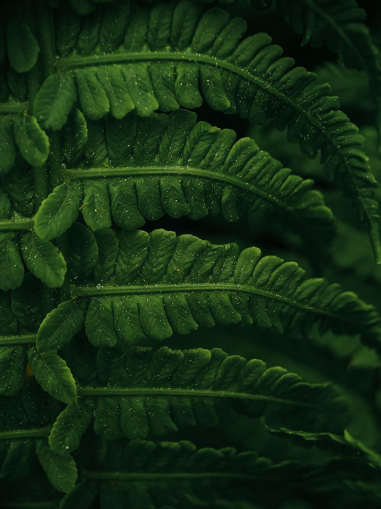 Photograph by Ирина Львова