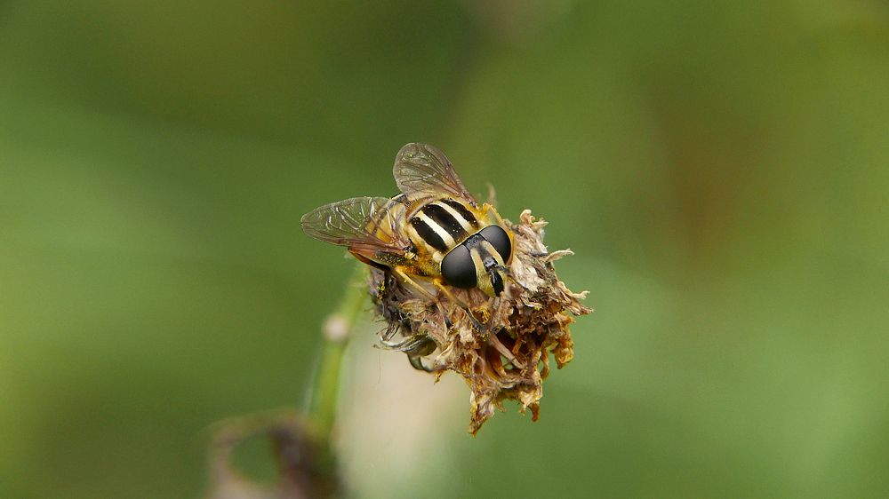 Photograph by Алексей Чернов