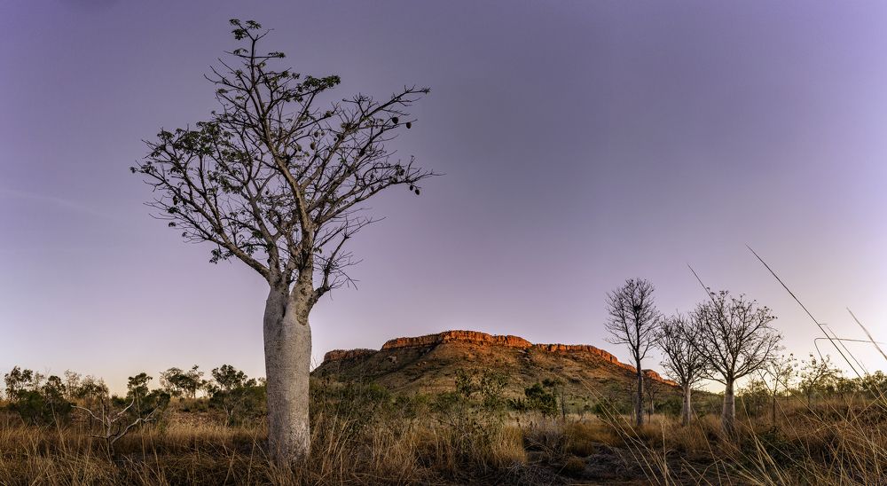 Photograph by Graham Earnshaw