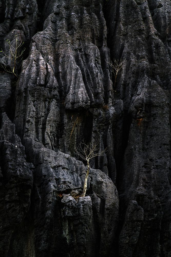 Photograph by Graham Earnshaw