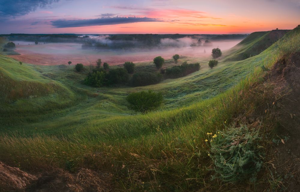 soft dawn of July ..