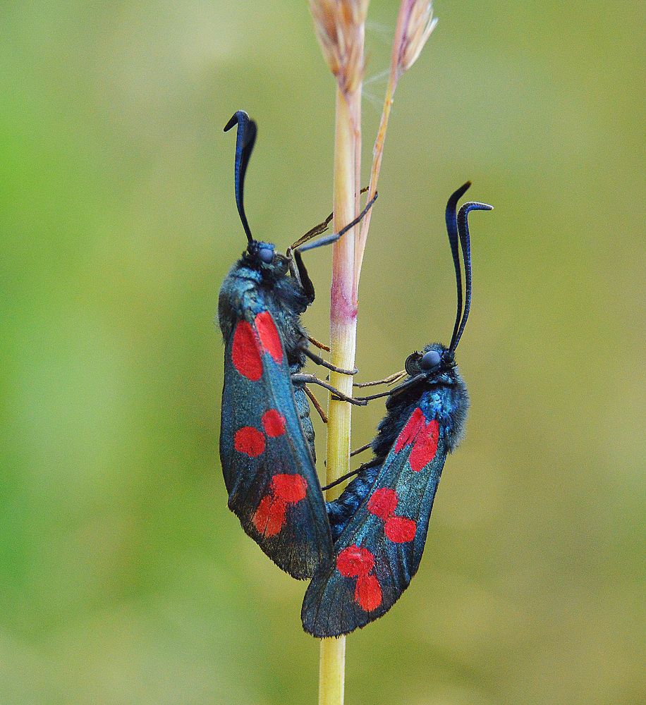 Таинство отношений.