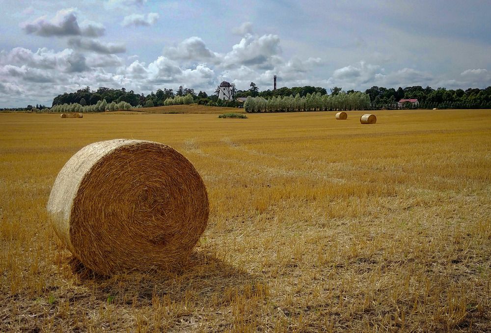 Photograph by Aleksandr Barsukov