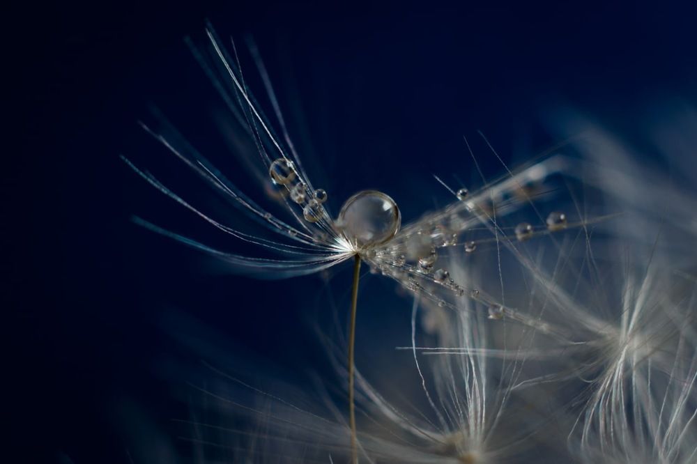 Photograph by Юлия Голубкова