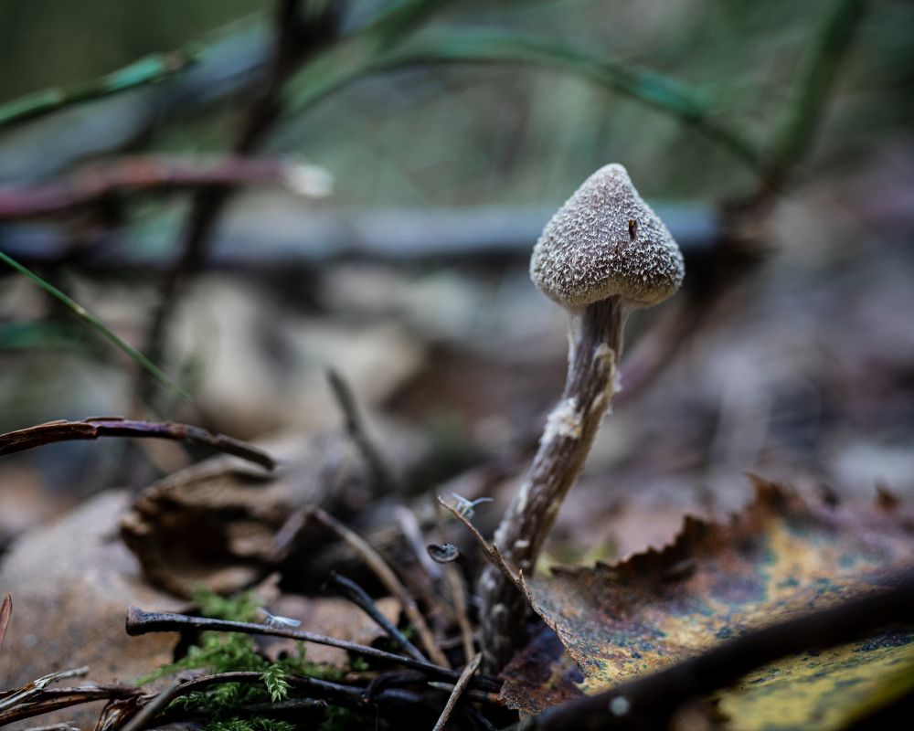 Photograph by Vasiliy aka PElikeS