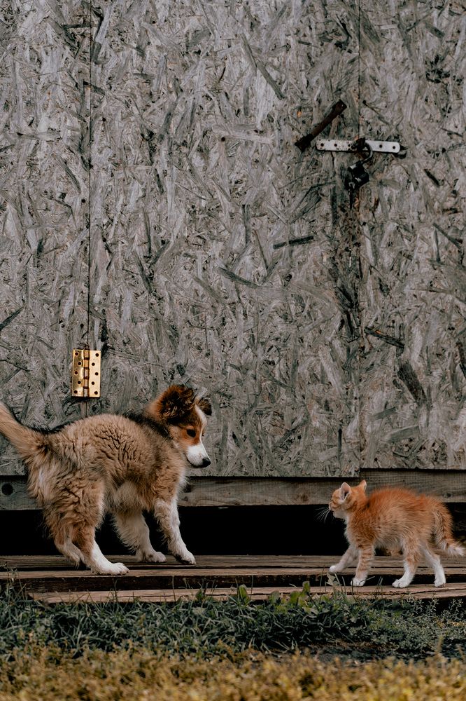 Photograph by Фархат Сабирзянов