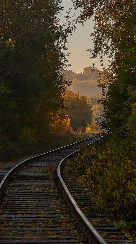 Photograph by КОНСТАНТИН ГОРДЕЕВ