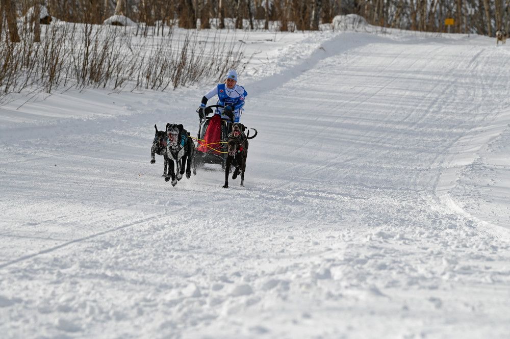 Фотография автора Ирина Копылова