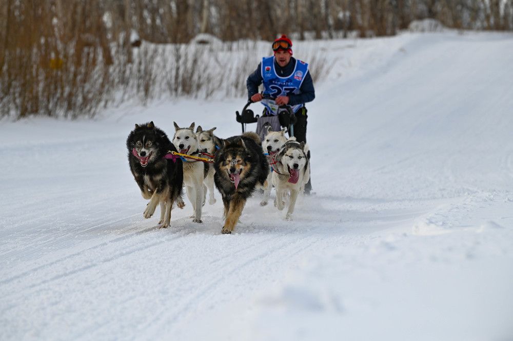 Фотография автора Ирина Копылова