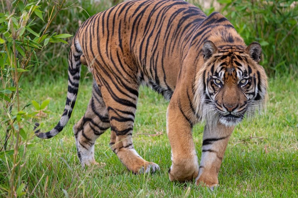 Photograph by Janet Williams