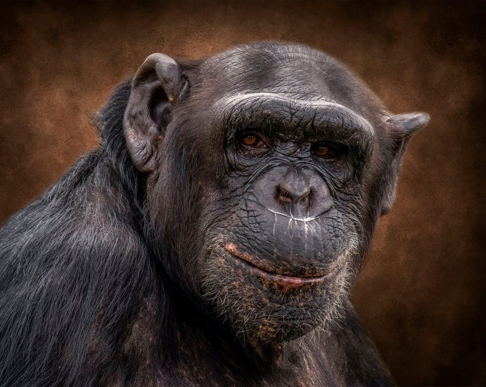 Photograph by Janet Williams