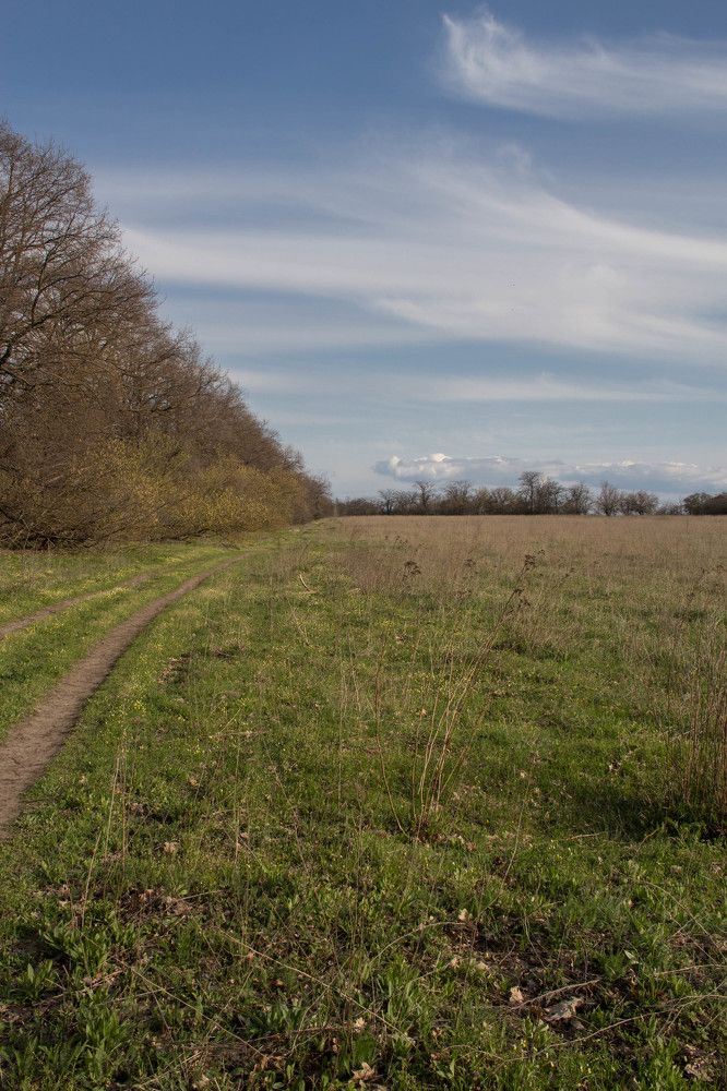 Photograph by Татьяна Кетлер-Митницкая