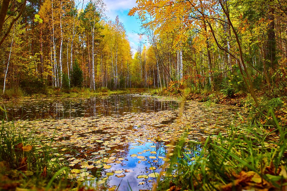 Photograph by Сергей Лисов