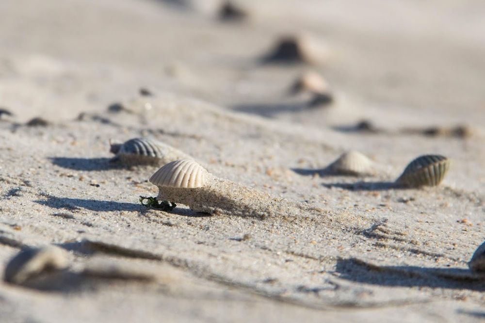 Photograph by Алексей Митницкий