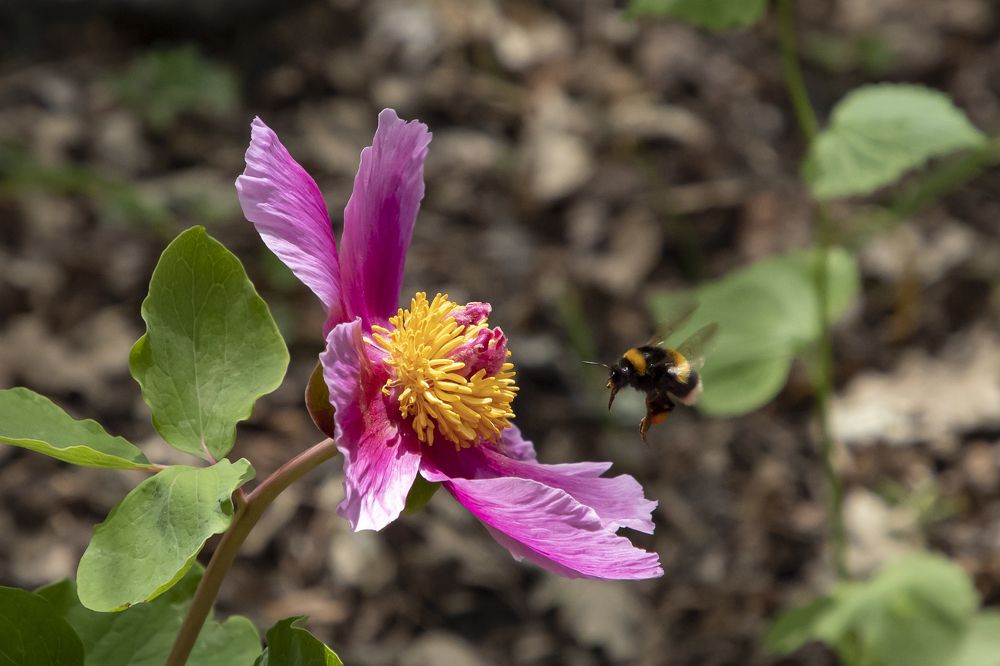 Photograph by Юлия Лазебная