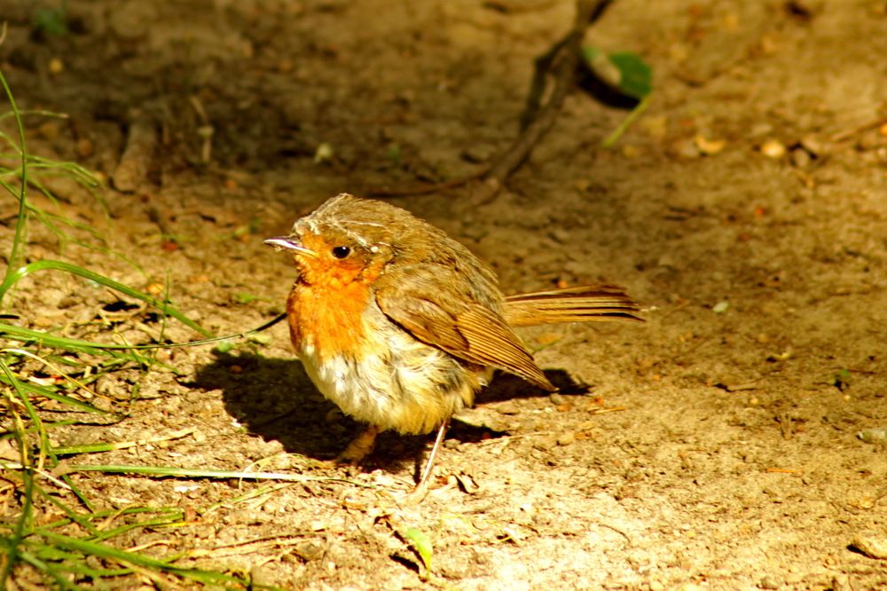 Photograph by Николай Николаевич Леухин