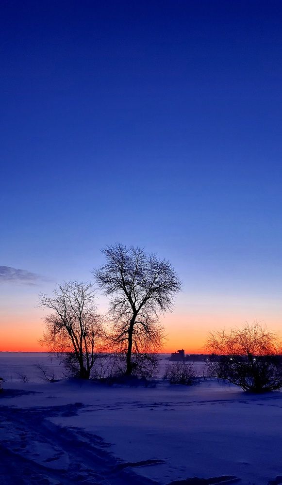 Photograph by Александр Коваленко