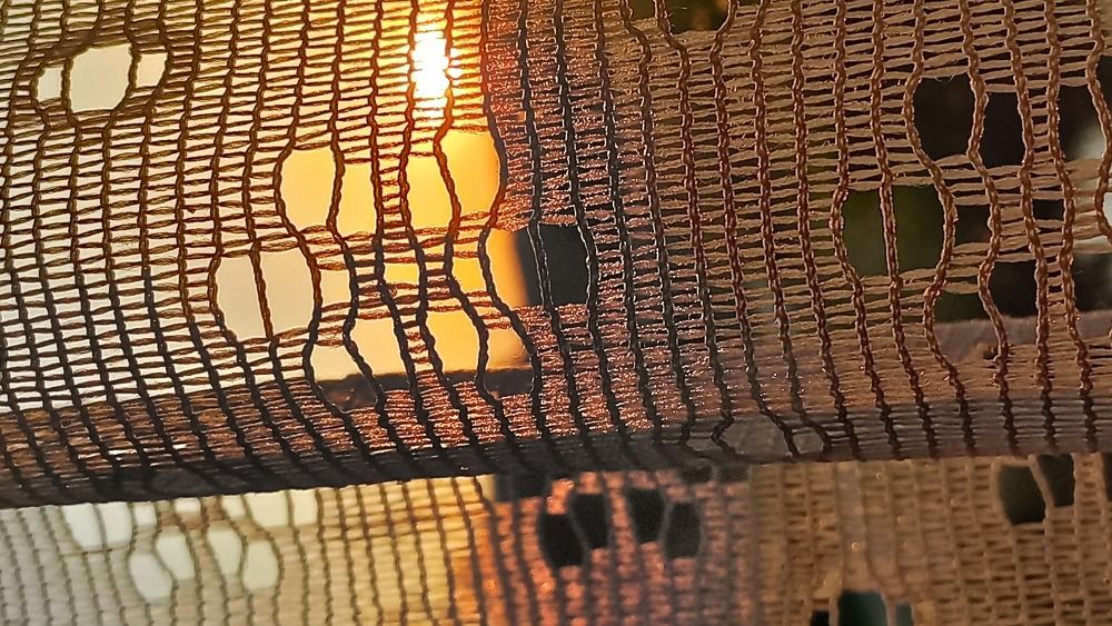 Фотография автора Антонина Клементьева