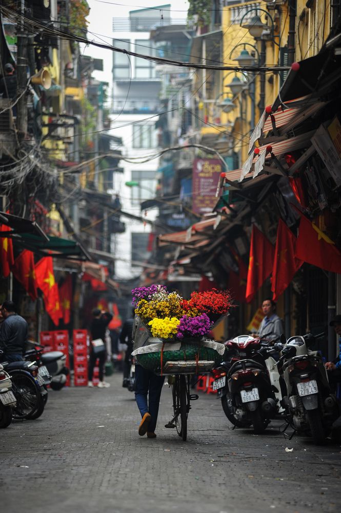 Flowers in the street