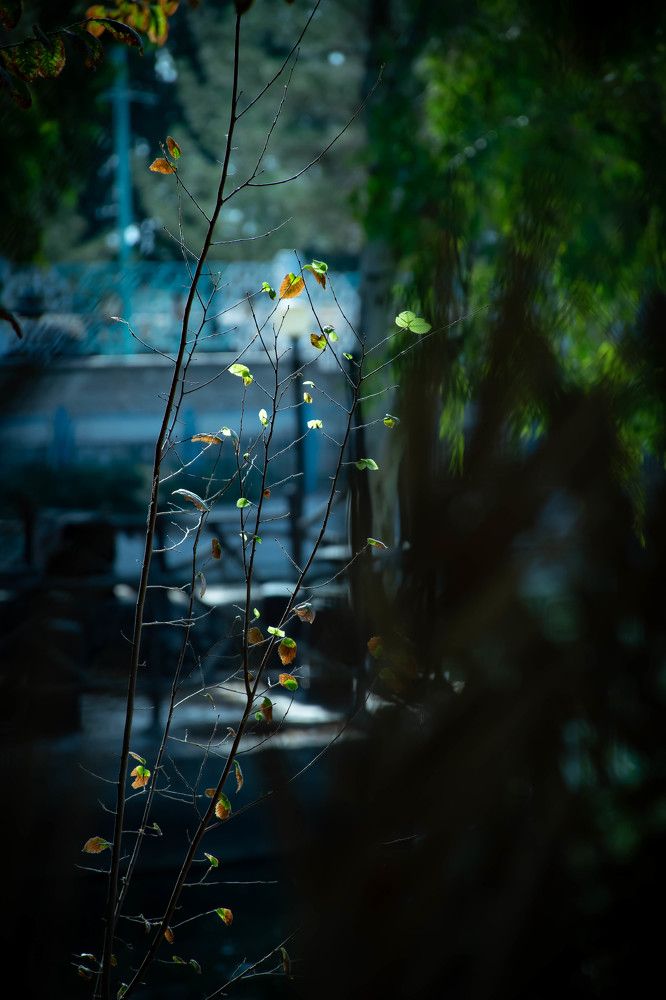 Photograph by Mohsen Hosseini