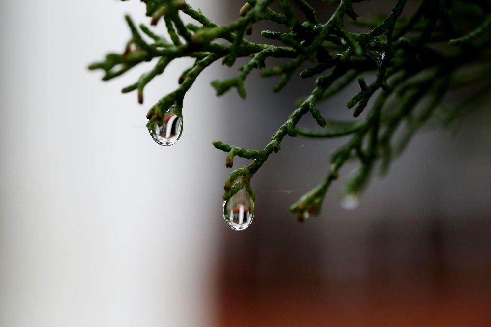 Фотография автора Maurizio Ruggiero