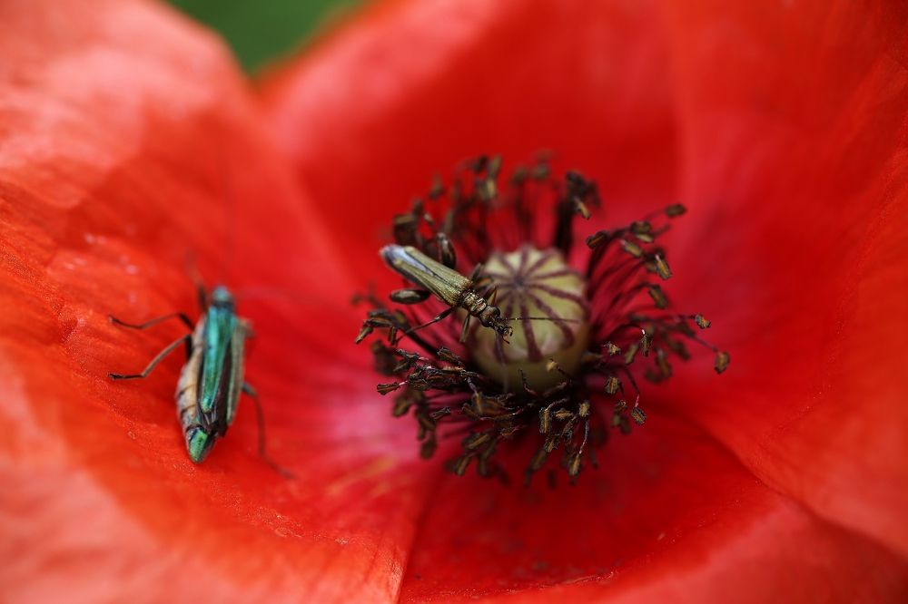 Фотография автора Maurizio Ruggiero