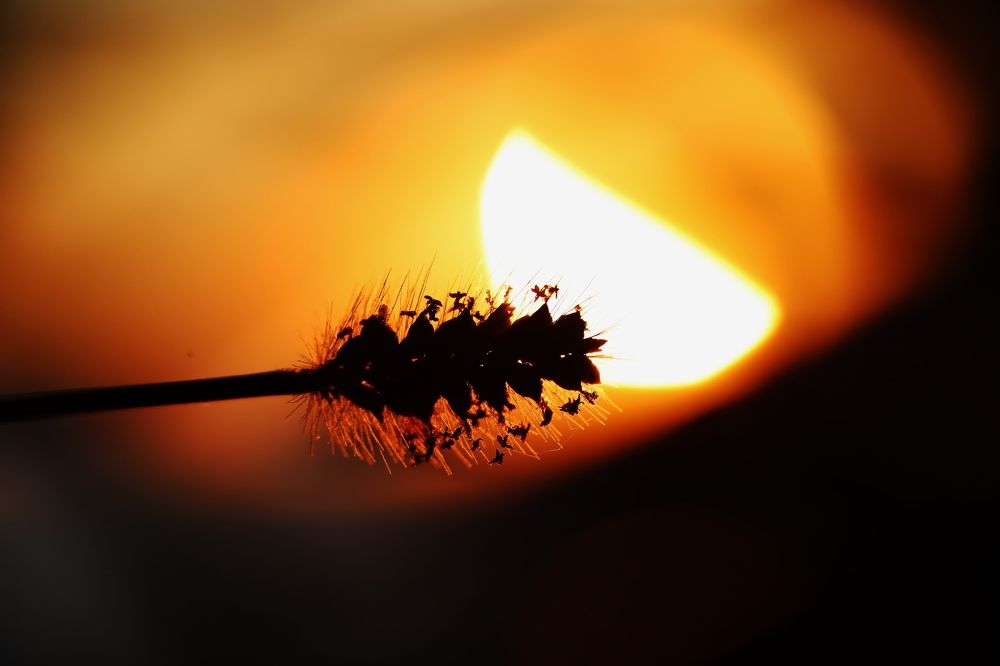 Фотография автора Maurizio Ruggiero