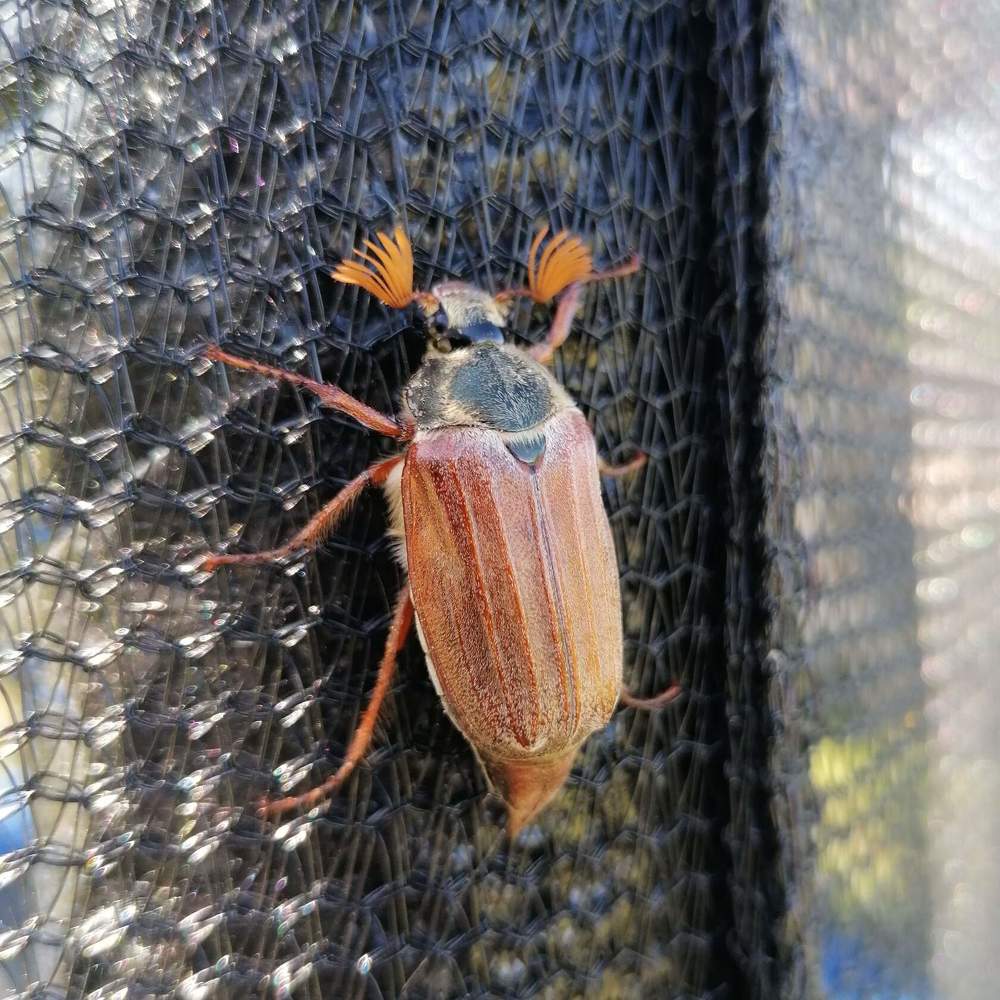 Photograph by Екатерина Супраненок