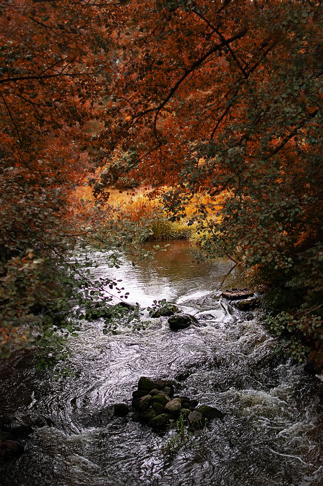 Photograph by Татьяна Ясинская