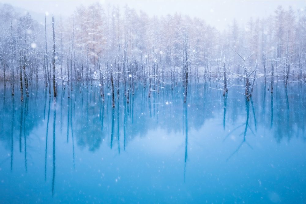 Photograph by Sakai Yusei