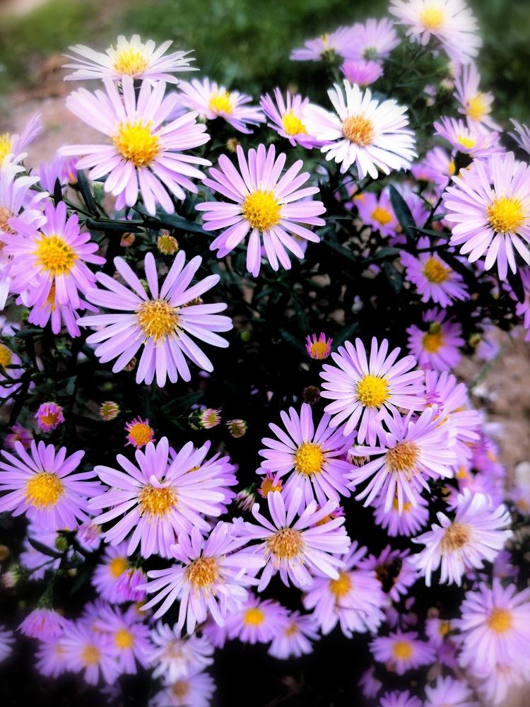 Photograph by Vesna Petkoska