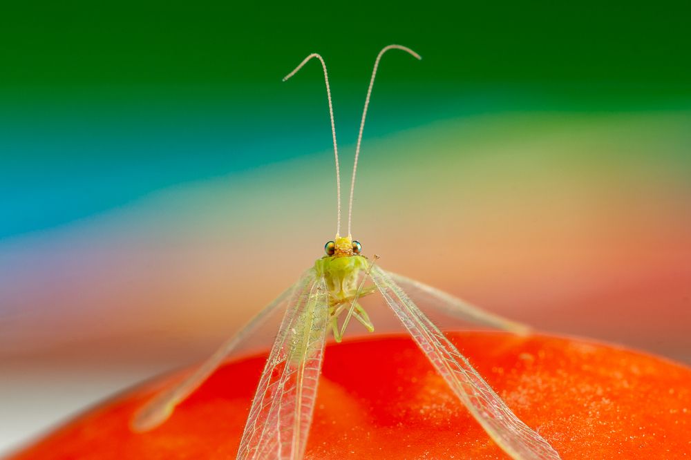 Photograph by Сергей Беляевский