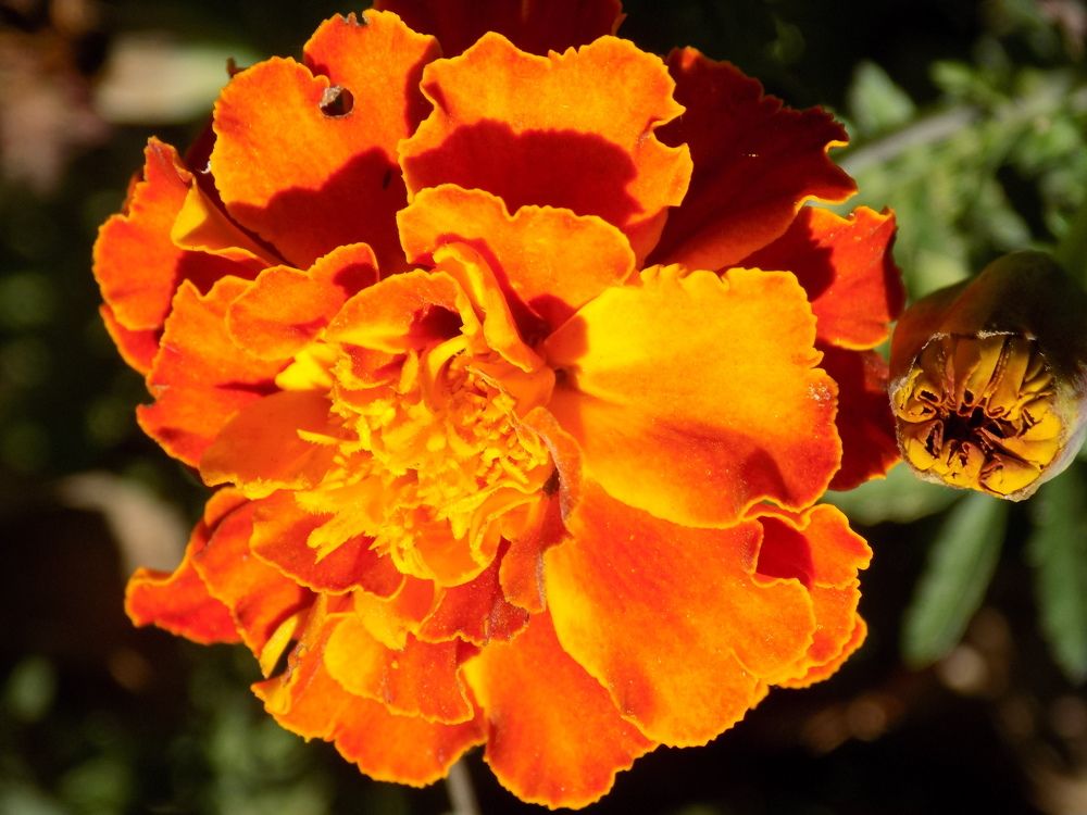 Фотография автора Станислав Рушкис