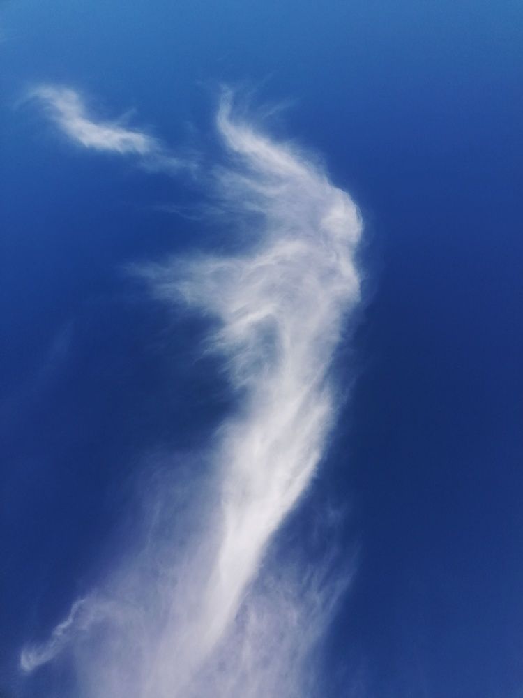 Miss Cloud