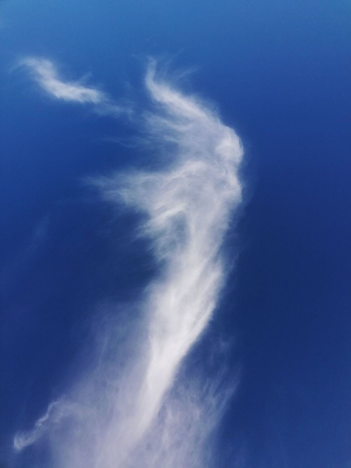 Miss Cloud