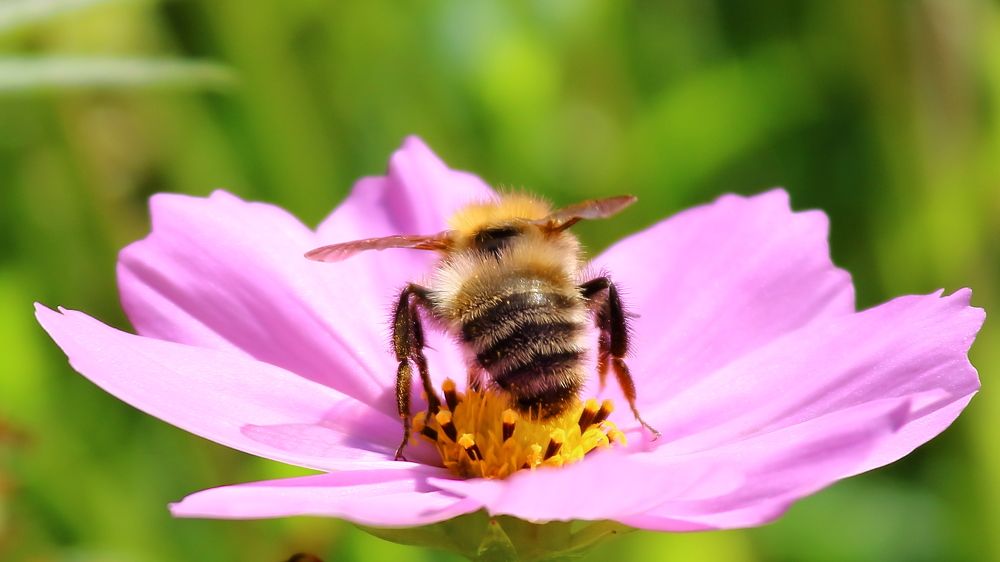 Photograph by Нина Титенкова