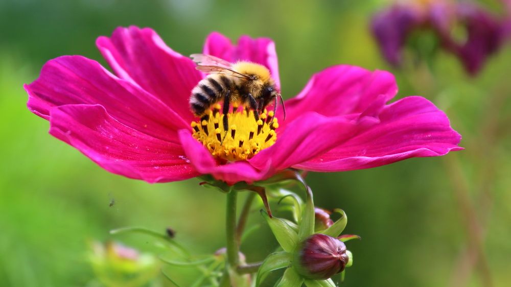 Photograph by Нина Титенкова