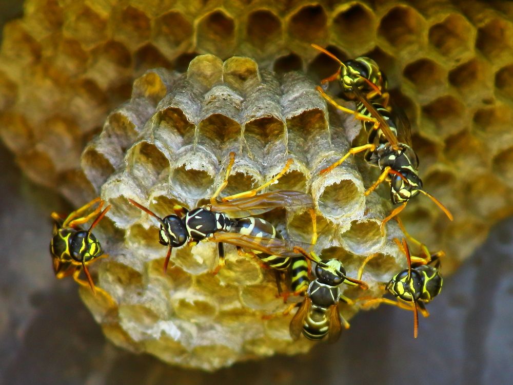 Photograph by Нина Титенкова