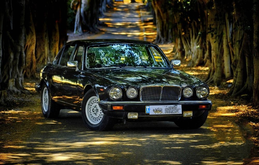 Photograph by Maxim Polak