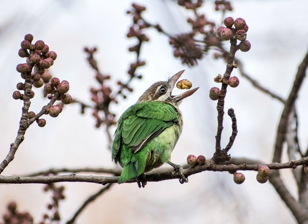 Photograph by Anish Adkar