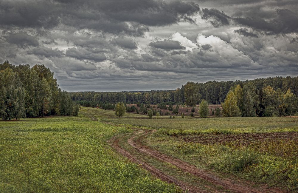 Фотография автора Александр Сальников