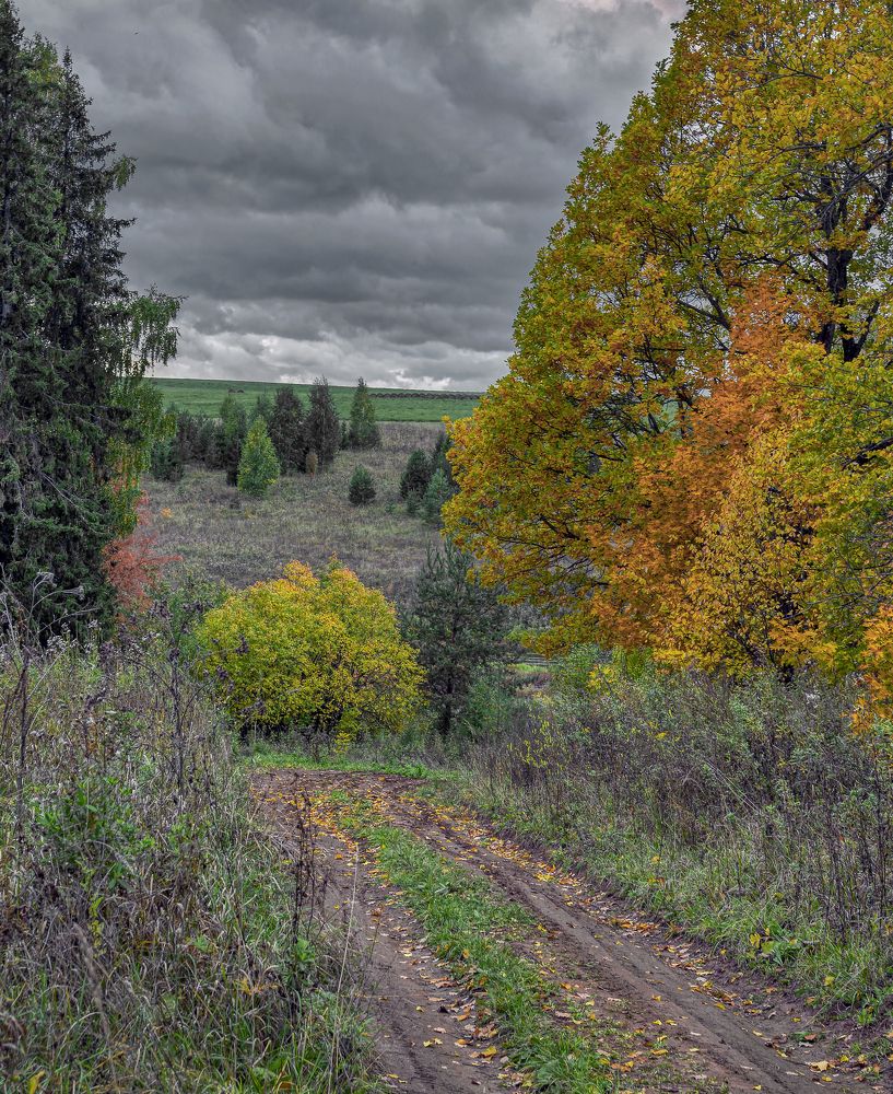 Дорога на Кукмарь.