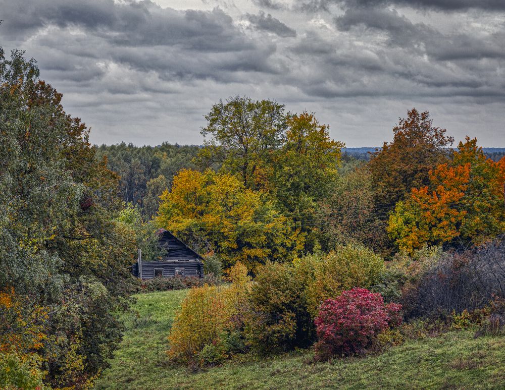 Фотография автора Александр Сальников
